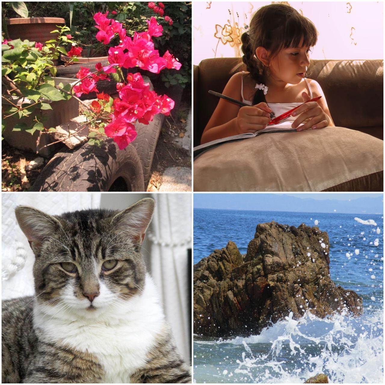 Used Canon Powershot Elph 160 Digital Camera โน๐๏ธห โ