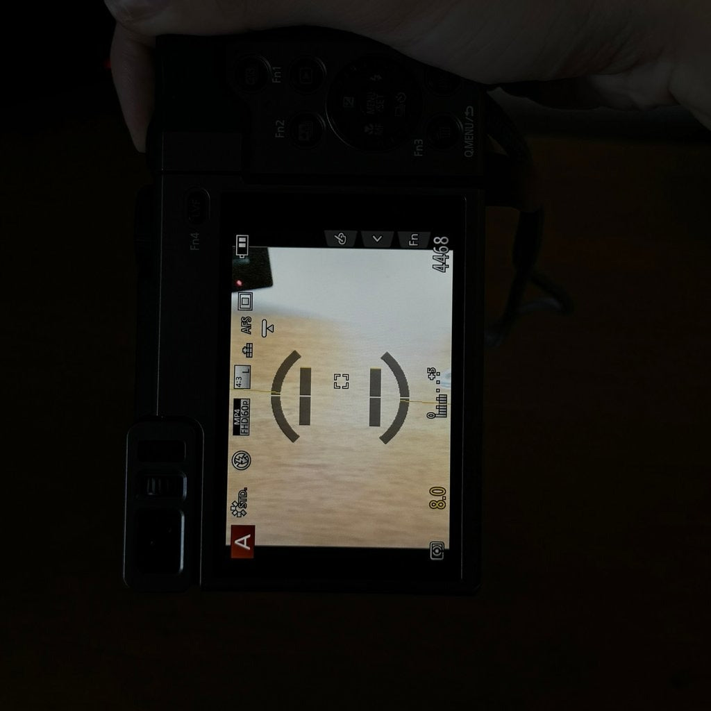 Panasonic Lumix DC-ZS70 4K Digital Camera (Silver) 📷