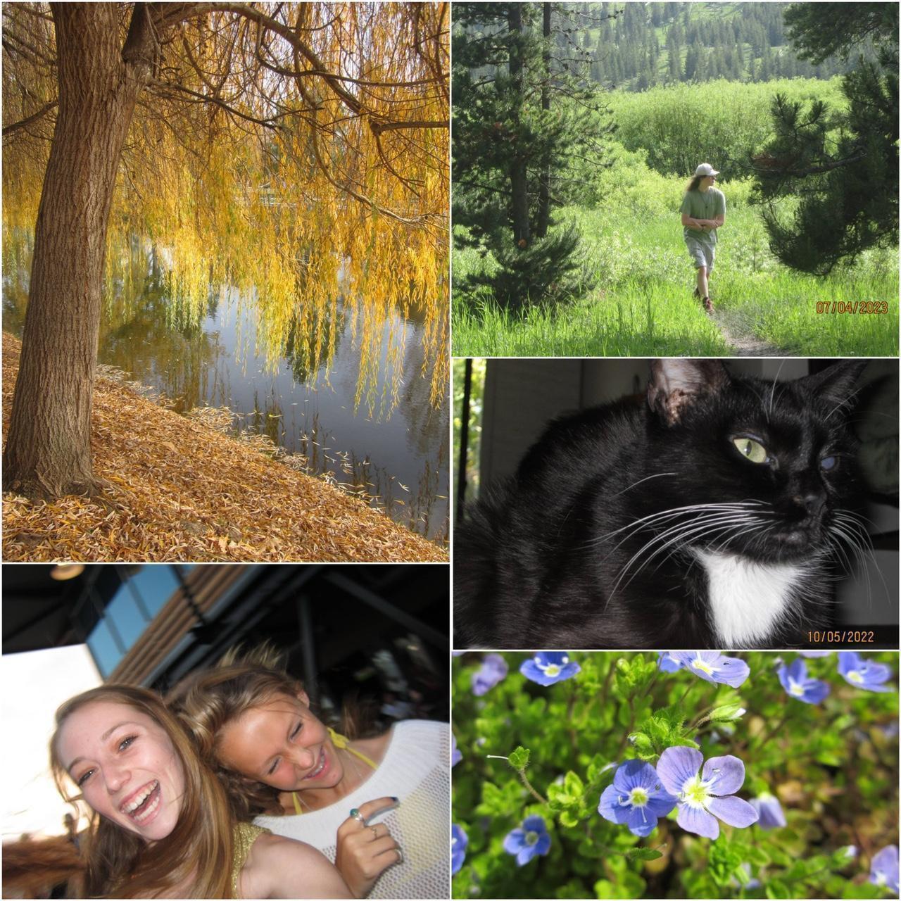 Used Canon Powershot A2200 Digital Camera